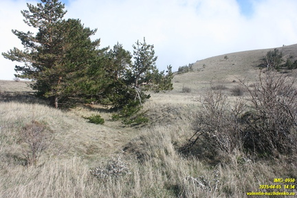 Бабуган-яйла, Крым