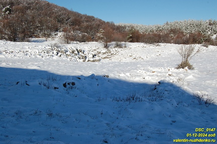 Бабуган-яйла, Крым