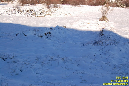 Бабуган-яйла, Крым