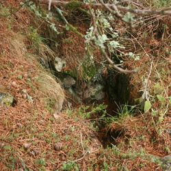 Поноры к западу от Куш-Кая