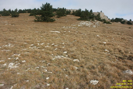 Бабуган-яйла, Крым