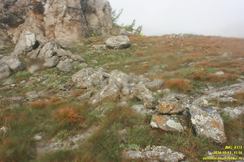babugan-2024-10-13--0175.JPG