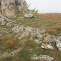 Бабуган-яйла, Крым