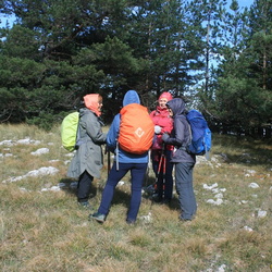 Урочище Зейтин-Хош