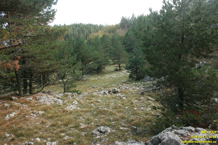 Бабуган-яйла, Крым