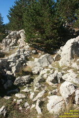 Бабуган-яйла, Крым