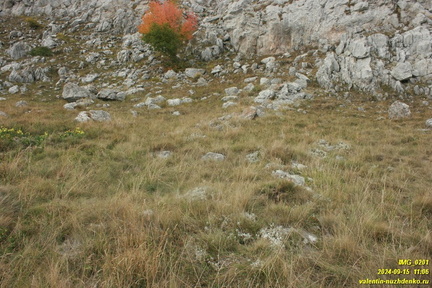 Бабуган-яйла, Крым