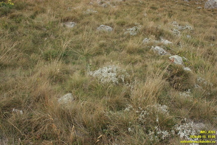 Бабуган-яйла, Крым