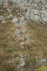 Бабуган-яйла, Крым