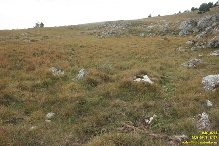 Бабуган-яйла, Крым