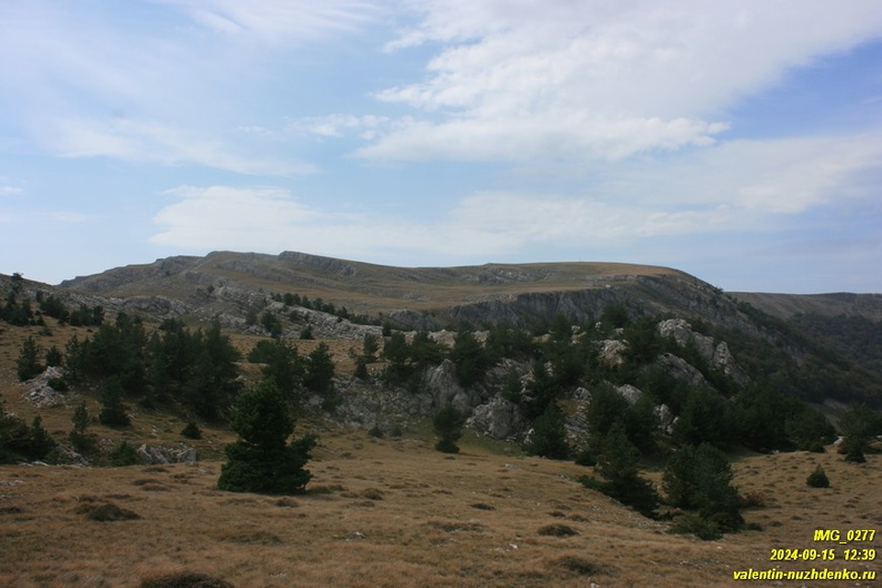 babugan-2024-09-15--0277.JPG