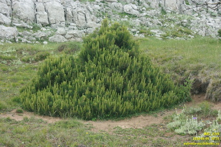 Бабуган-яйла, Крым