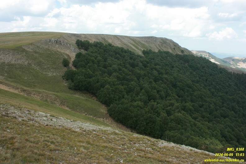 babugan-2024-06-09--0308.JPG