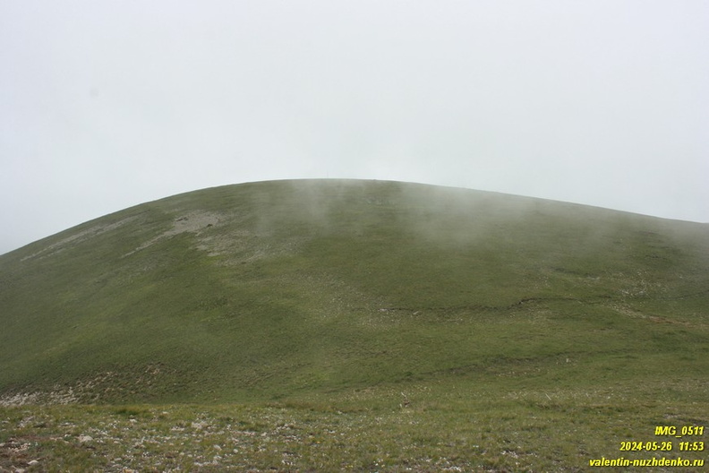 babugan-2024-05-26--0511.JPG