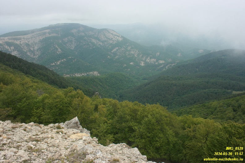 babugan-2024-05-26--0529.JPG