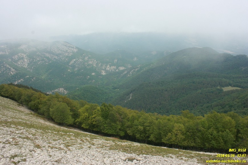 babugan-2024-05-26--0558.JPG