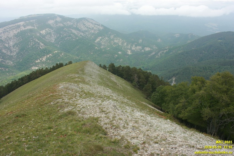 babugan-2024-05-26--0605.JPG