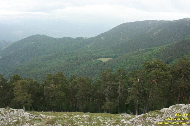 babugan-2024-05-26--0614.JPG