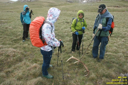 babugan-2024-05-11--0307