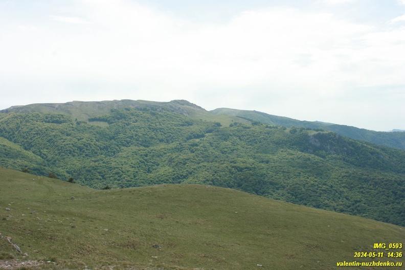 babugan-2024-05-11--0593.JPG