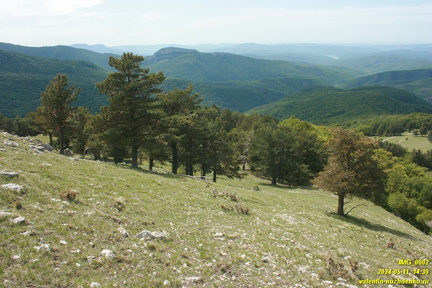 Бабуган-яйла, Крым