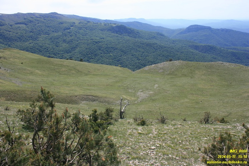 babugan-2024-05-11--0660.JPG