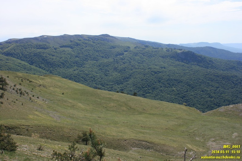 babugan-2024-05-11--0661.JPG