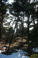 Бабуган-яйла, Крым