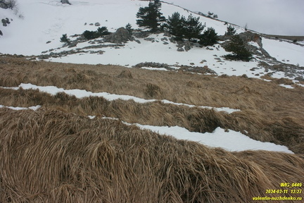 Бабуган-яйла, Крым