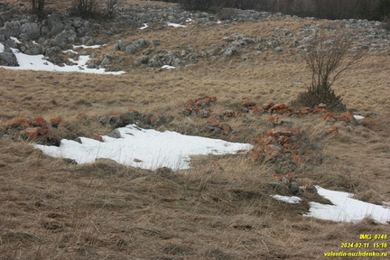 Бабуган-яйла, Крым