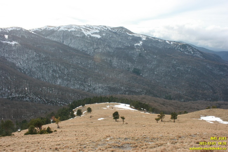 babugan-2023-12-02-0383.JPG