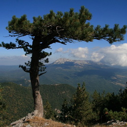 2009-09-05 Бабуган березы