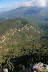 babugan-2009-09-0293
