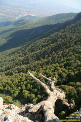 babugan-2009-09-0332