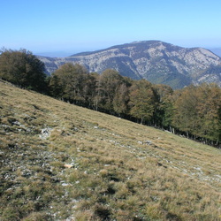 Северный склон Бабугана от Конька до Чучельского