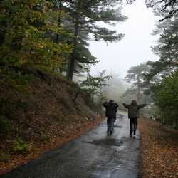 Дорога Чучельский - Дубравы - Буковского