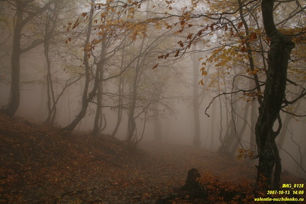 Бабуган-яйла, Крым