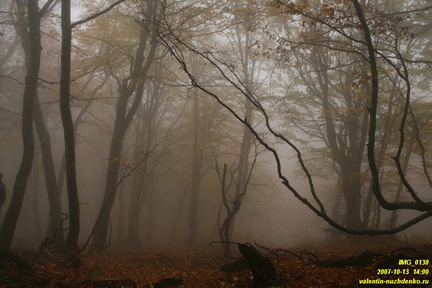 Бабуган-яйла, Крым