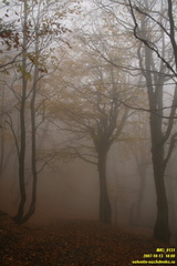 Бабуган-яйла, Крым