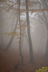 Бабуган-яйла, Крым