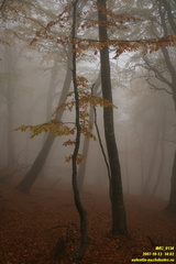 Бабуган-яйла, Крым