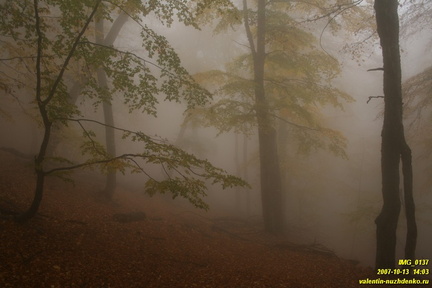 Бабуган-яйла, Крым