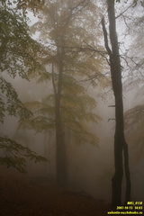 Бабуган-яйла, Крым