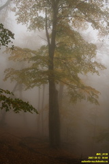 Бабуган-яйла, Крым