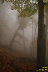 Бабуган-яйла, Крым