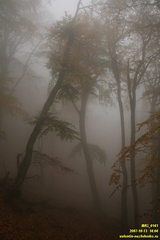 Бабуган-яйла, Крым