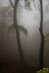 Бабуган-яйла, Крым