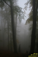 Бабуган-яйла, Крым