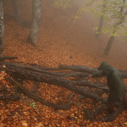 Эгер-Тепе-Чокрак