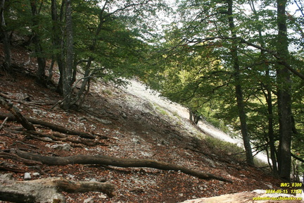 gavrel-bogaz-2024-09-15-0300
